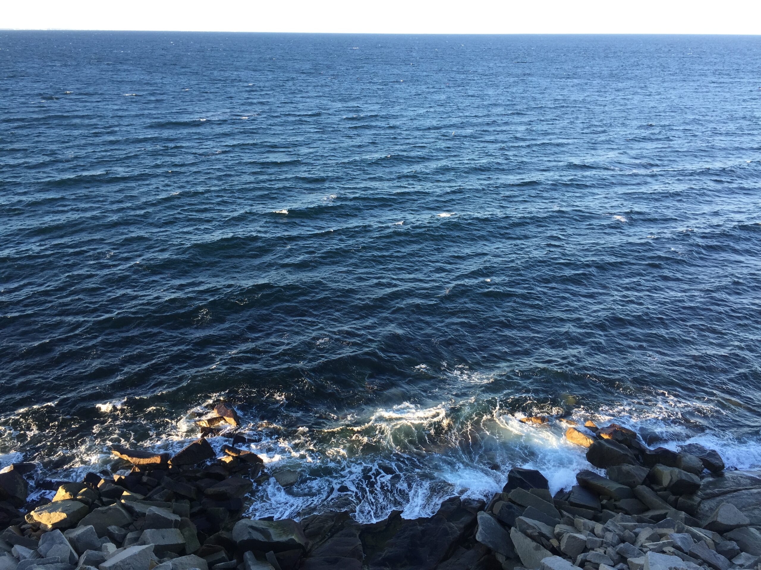 waves crash along a rocky shore