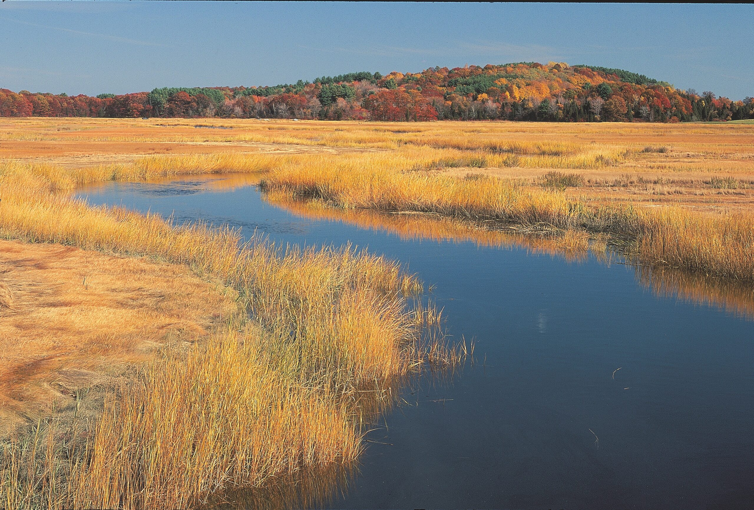Creek at Old Town Hill