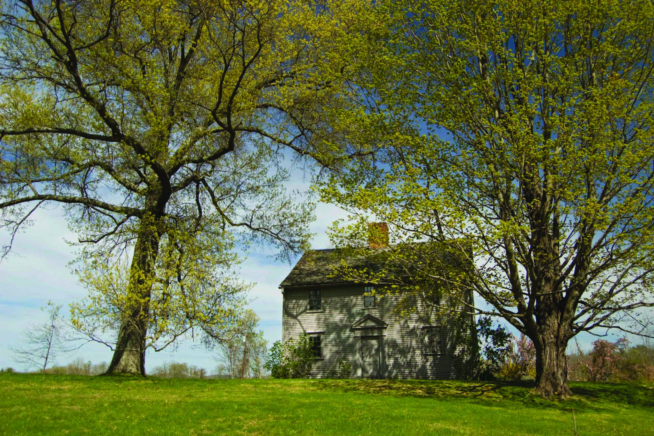 Ashley House framed by trees